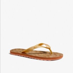 Coach Flip Flops Khaki/Gold Size 9W